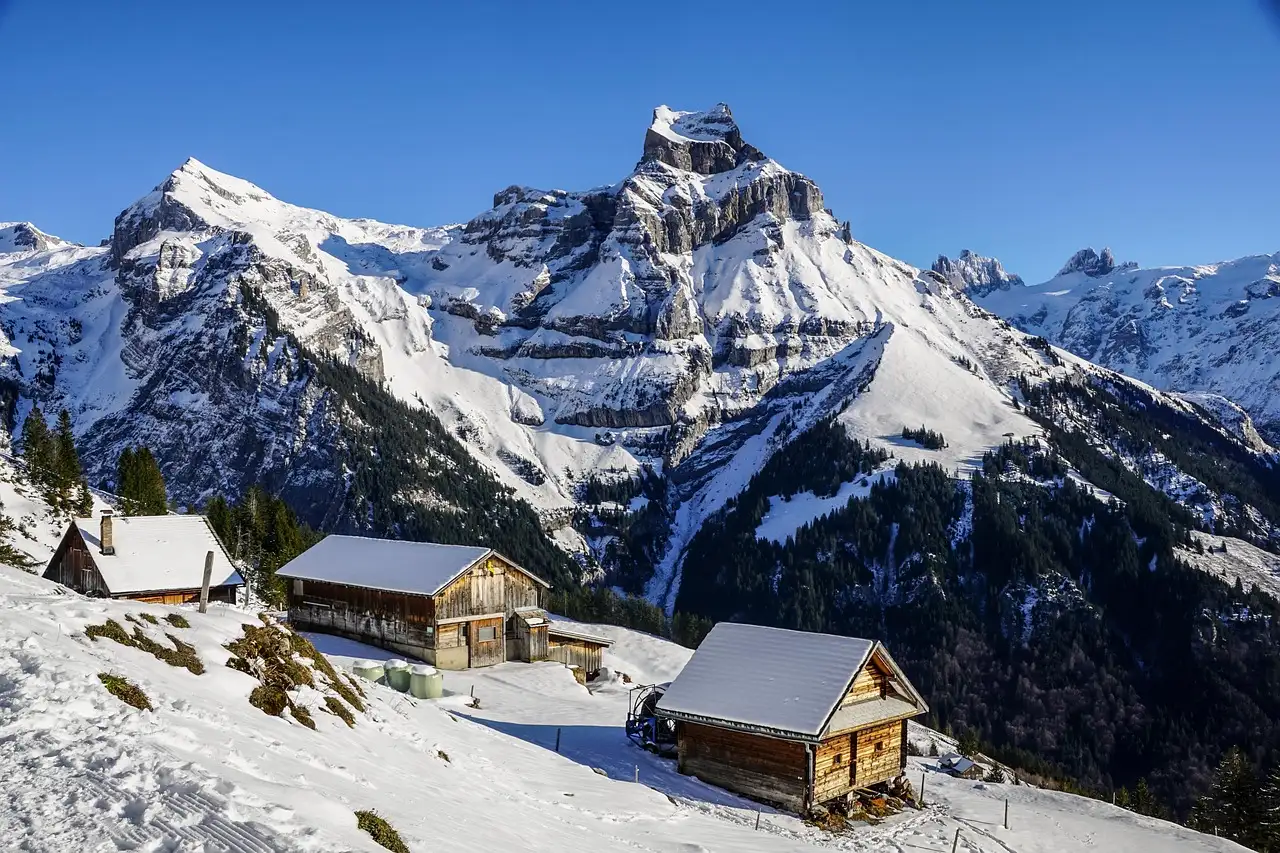 Professioneller Ski Service in Schwabing – Top Qualität